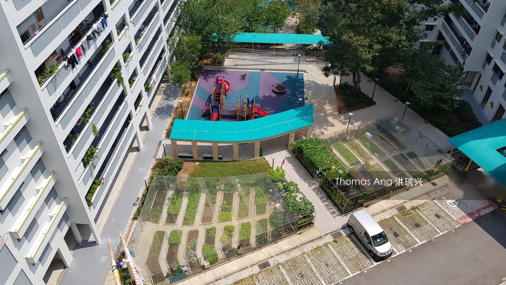 Blk 403 Fajar Road (Bukit Panjang), HDB 4 Rooms #209310621